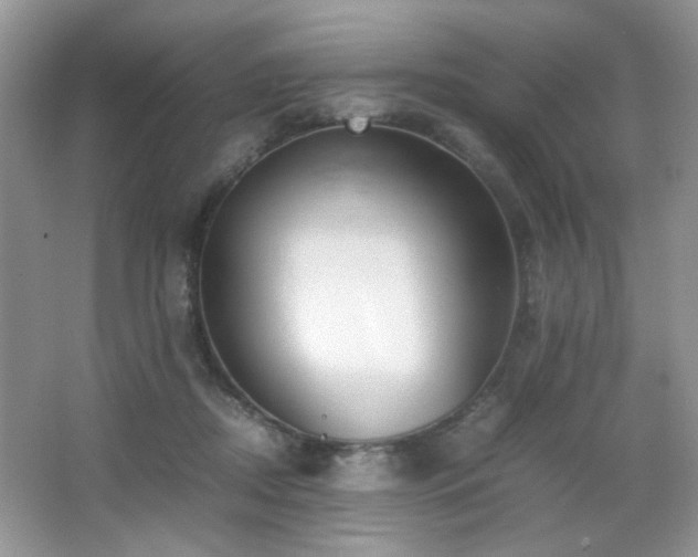 X0000065250362200602171434