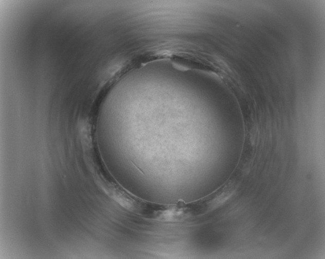 X0000065250366200602171434