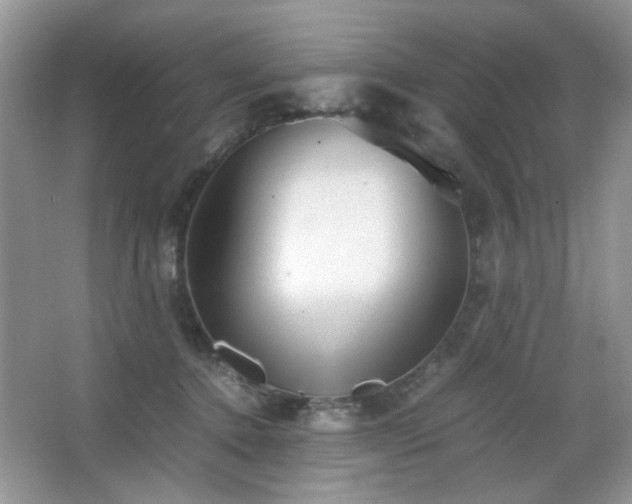 X0000065250368200602171434