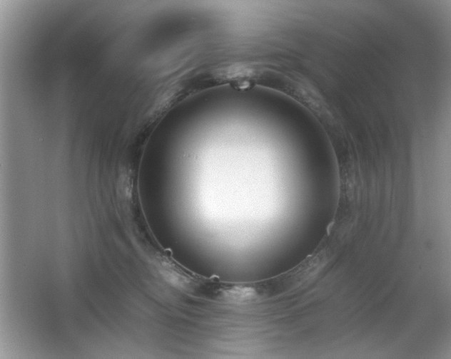 X0000065250374200602171434