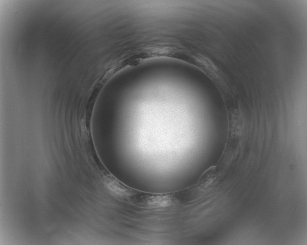 X0000065250377200602171434