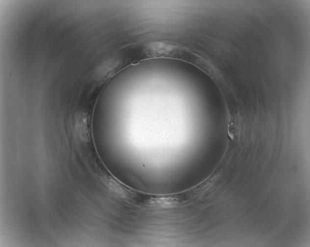 X0000065250378200602171434