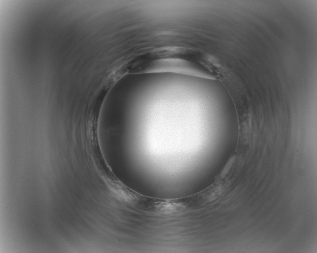 X0000065250379200602171434