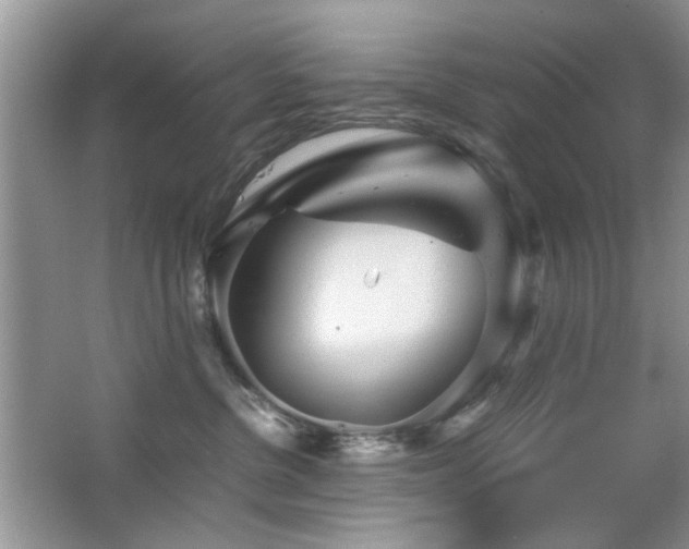 X0000065250380200602171434