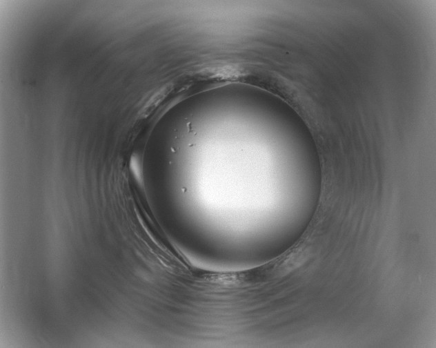 X0000065250384200602171434