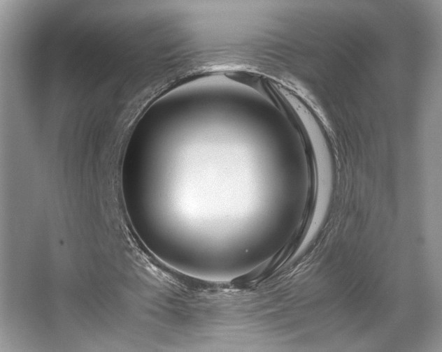 X0000065250385200602171433