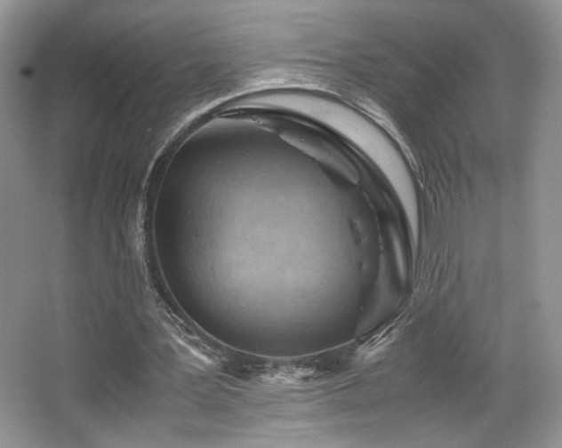 X0000065250387200602171433