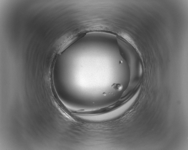 X0000065250389200602171433