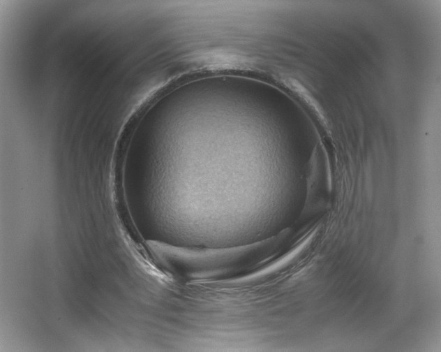 X0000065250391200602171433