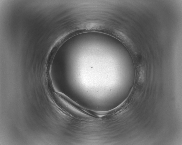 X0000065250392200602171433