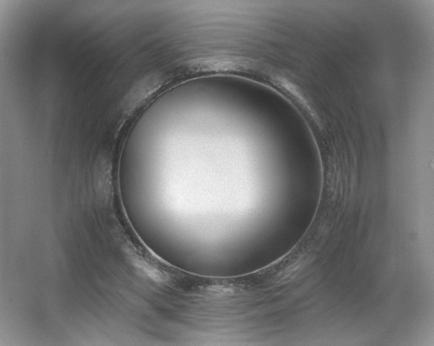 X0000065250394200602171433