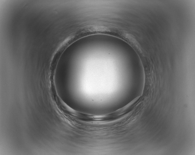 X0000065250395200602171433