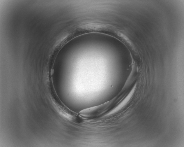 X0000065250399200602171433