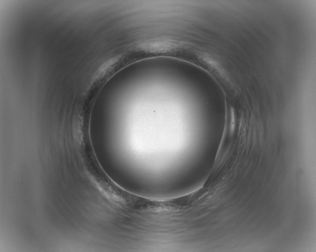 X0000065250400200602171433
