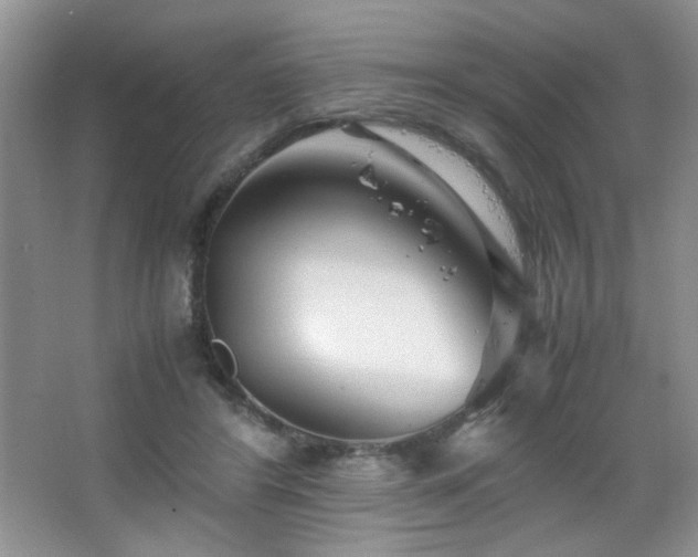 X0000065250404200602171433