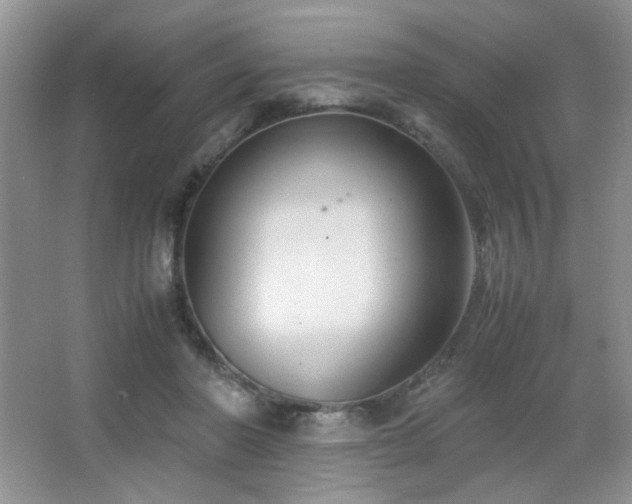 X0000065250406200602171433