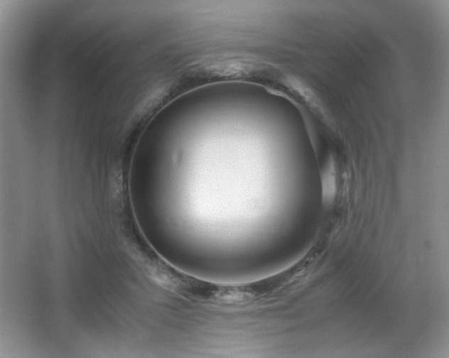 X0000065250407200602171433