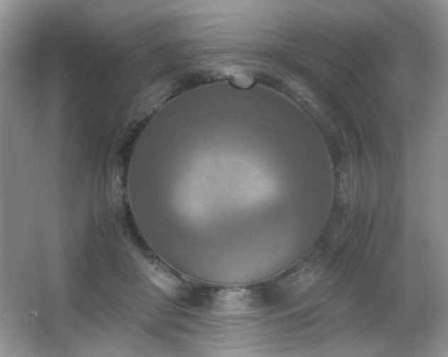 X0000065250410200602171433