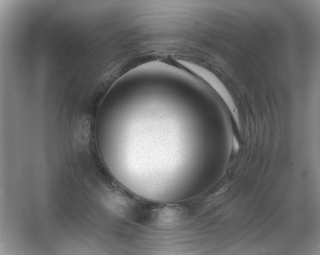 X0000065250412200602171433