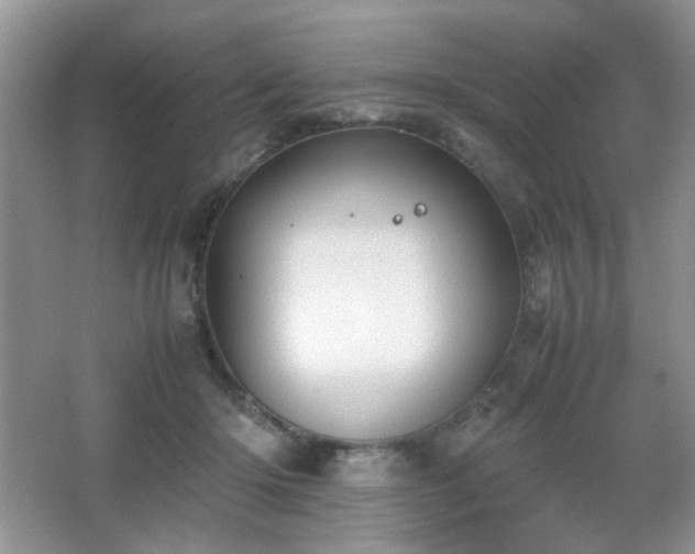X0000065250414200602171433