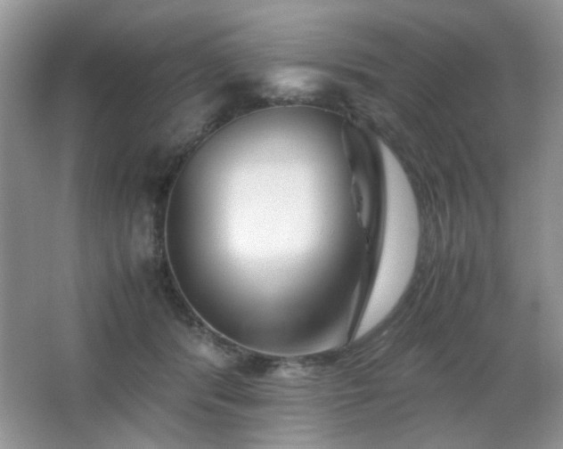 X0000065250416200602171433