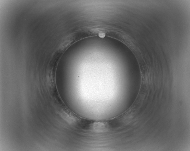 X0000065250418200602171433