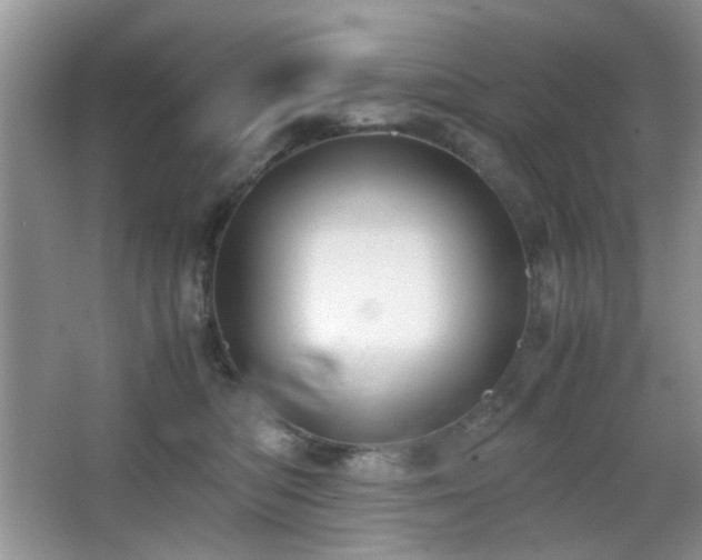 X0000065250422200602171433