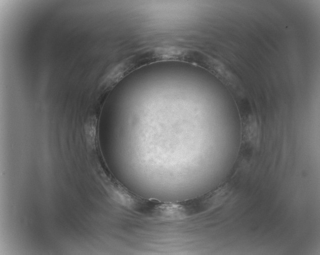 X0000065250427200602171433
