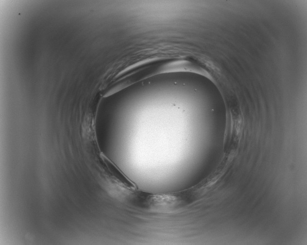 X0000065250429200602171433