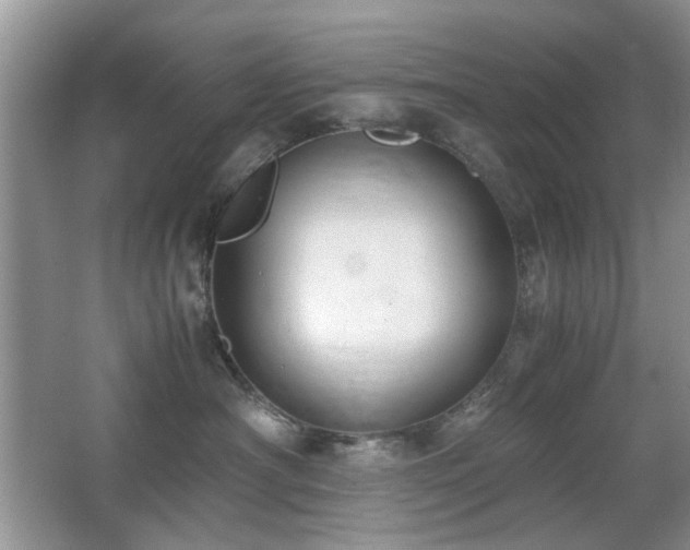 X0000065250430200602171433