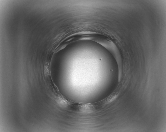 X0000065250432200602171433