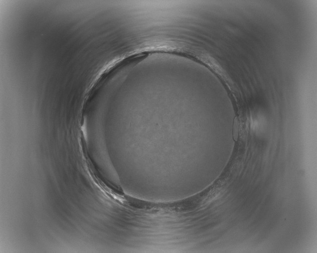 X0000065250434200602171432