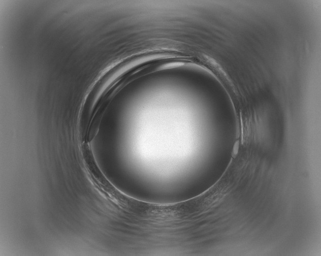 X0000065250435200602171432