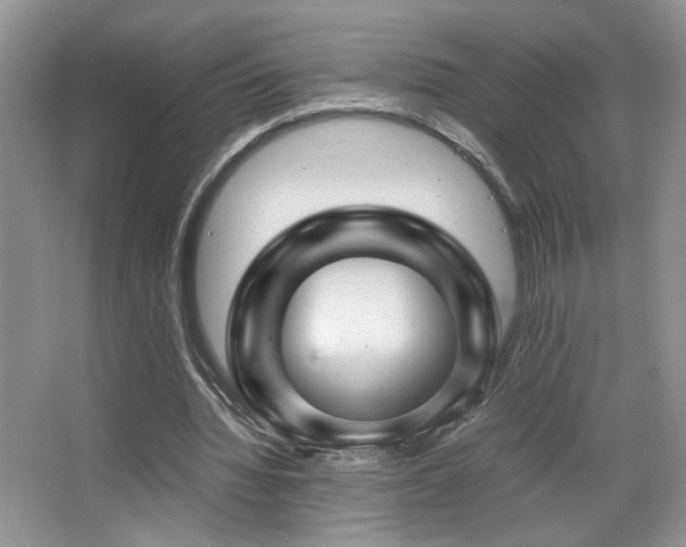 X0000065250436200602171432