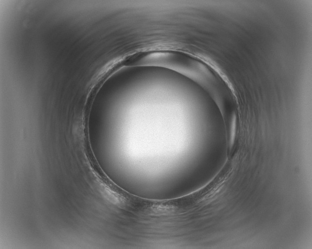 X0000065250437200602171432