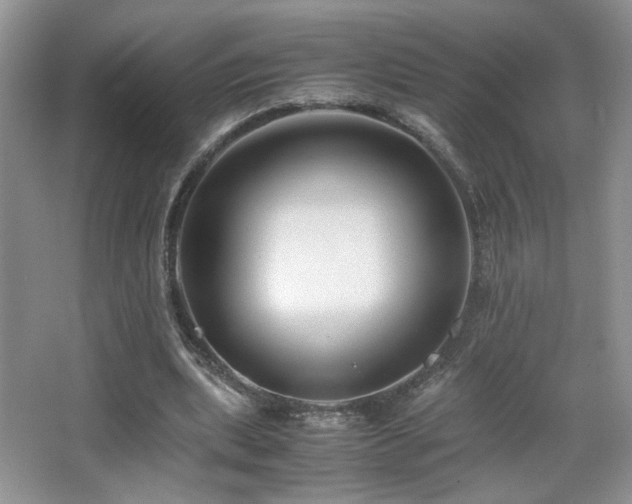 X0000065250439200602171432