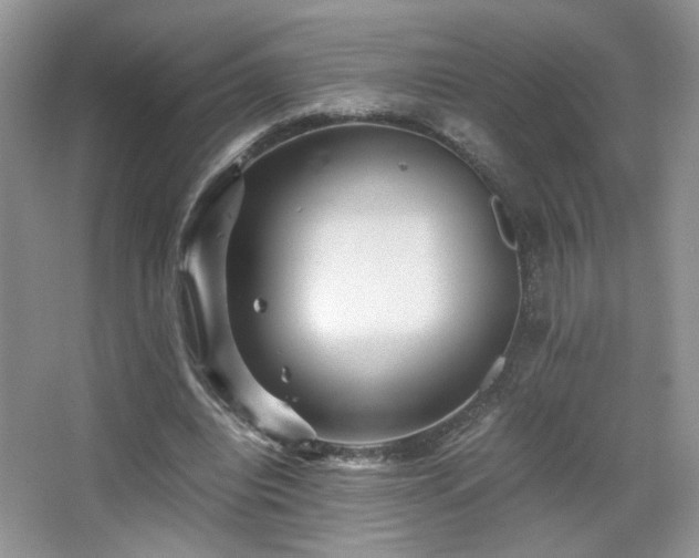 X0000065250440200602171432
