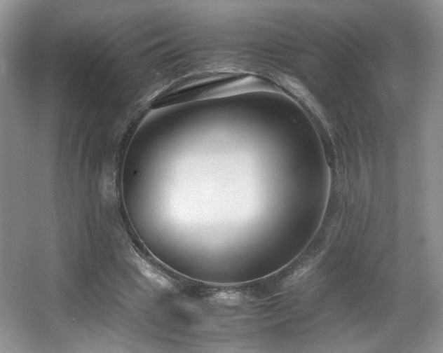 X0000065250441200602171432