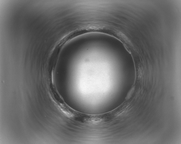 X0000065250444200602171432