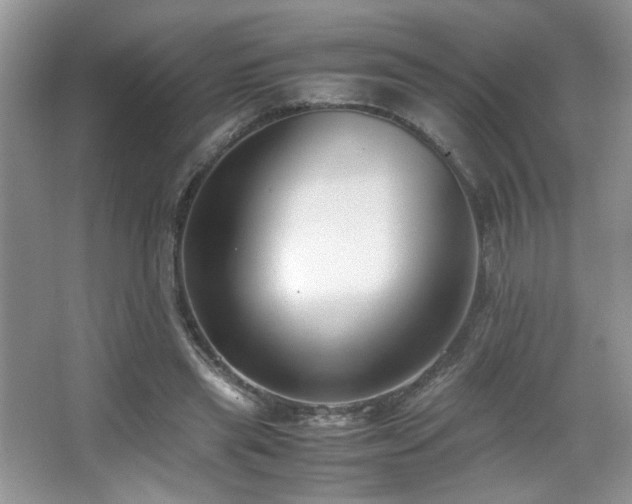 X0000065250445200602171432