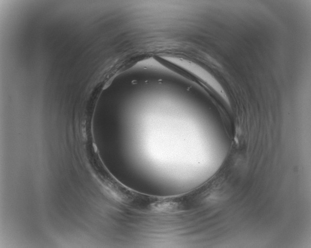 X0000065250452200602171432