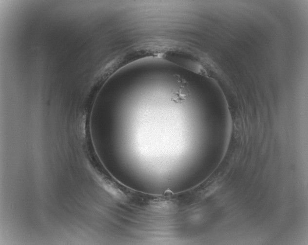 X0000065250454200602171432