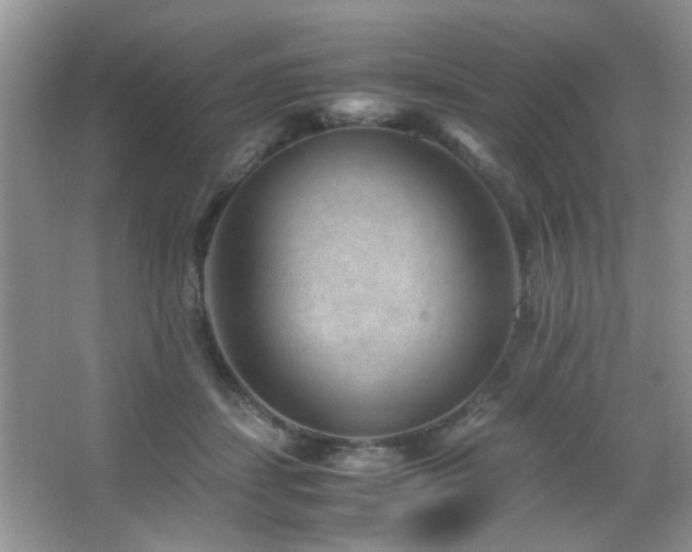 X0000065250459200602171432