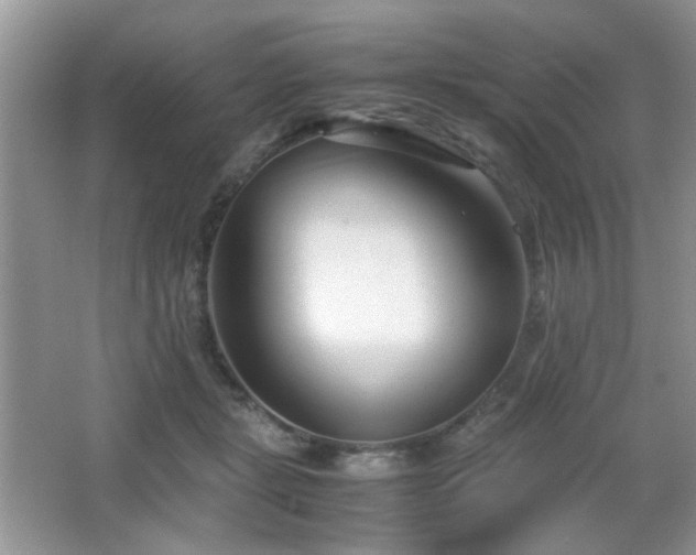 X0000065250461200602171432