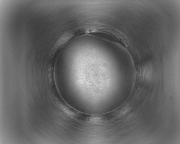 X0000065250462200602171432
