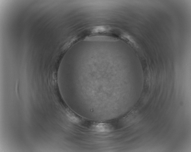 X0000065250467200602171432