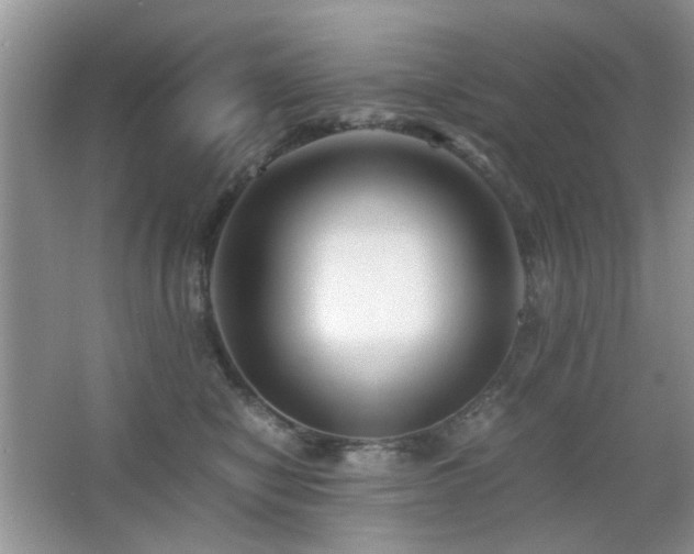 X0000065250470200602171432