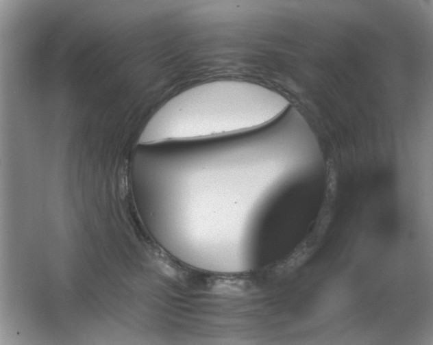X0000065250471200602171432