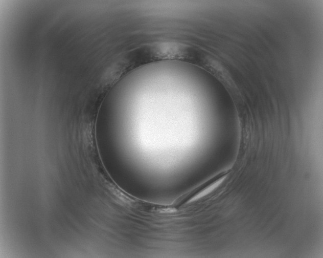 X0000065250473200602171432