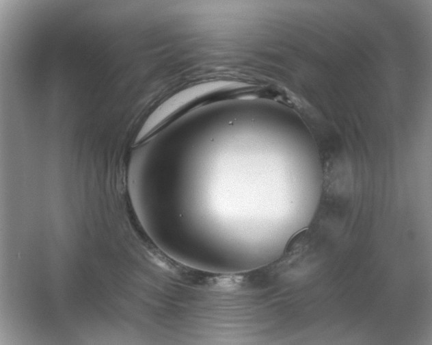 X0000065250474200602171432